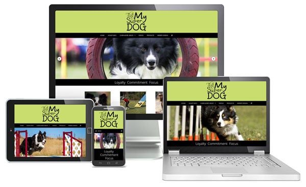 Austin Website Design - Wordpress Austin Website Design - Wordpress