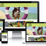 Dog Agility Web Design