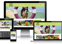 Dog Agility Web Design