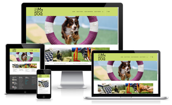 Dog Agility Web Design